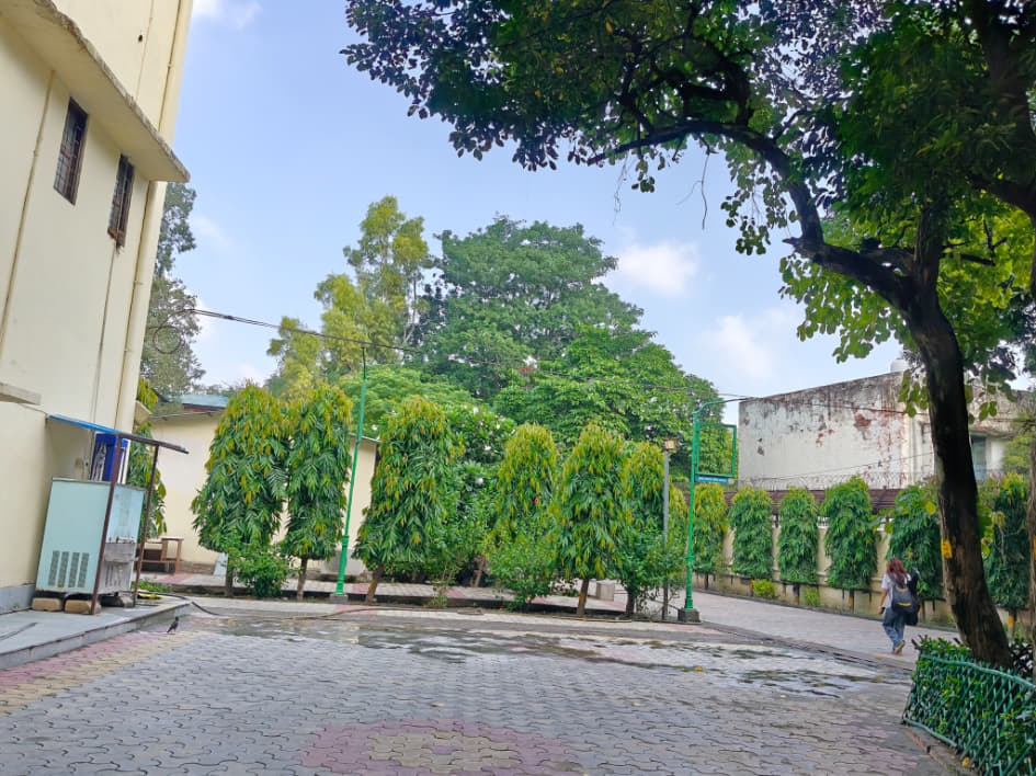 Shyam Lal College Campus photo 21